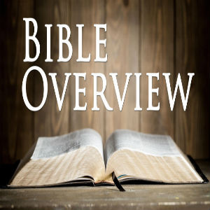 Bible Overview 5 - Living in enemy occupied territory Artwork
