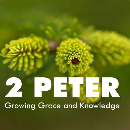 In Order to Grow Here's What You Need to Know series thumbnail