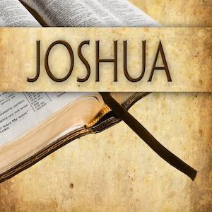 Joshua 5:13-6:27 - What is it like to meet God? Artwork