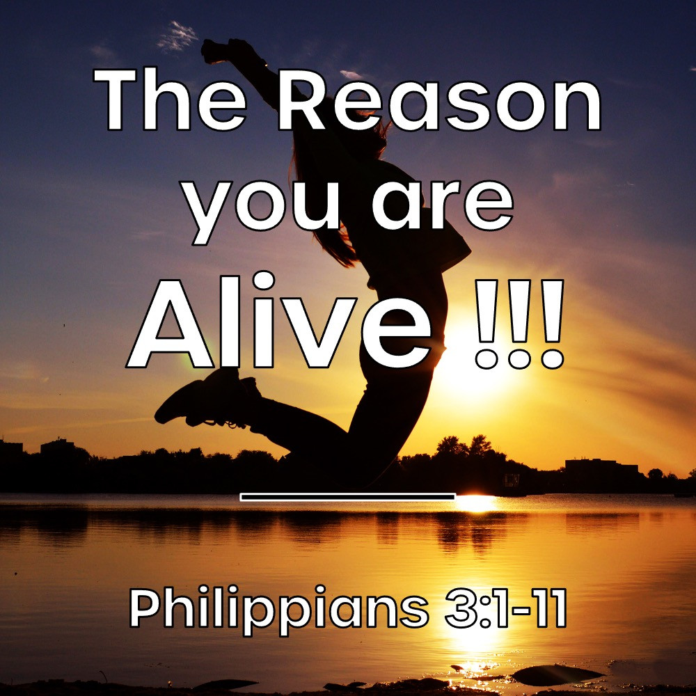 The Reason You Are Alive!!!