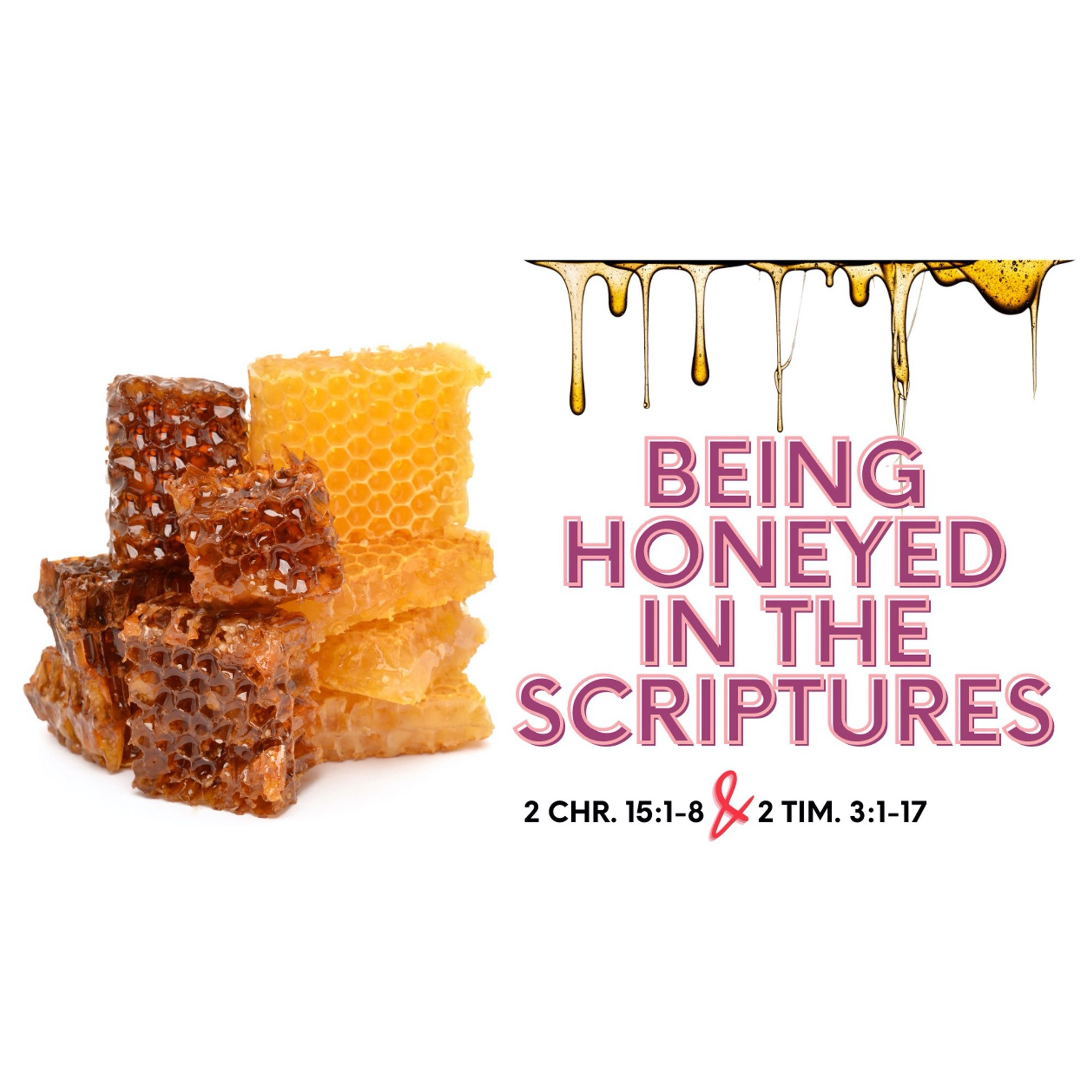 Being Honeyed in the Scriptures