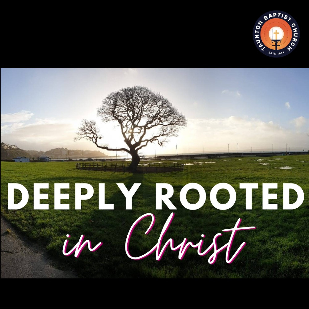Deeply Rooted in Christ